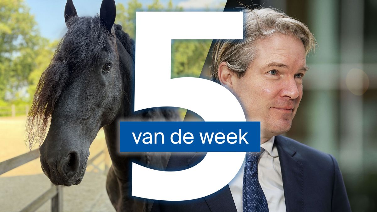 Sommige fokkers fokken geen Friese paarden meer en nieuwe burgemeester is maar één keer in Leeuwarde