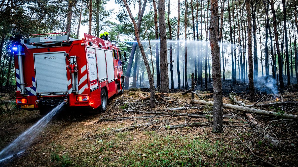 LIVEBLOG: Natuurbrand bij Venray stabiel, noodverordening en NL-Alert blijven van kracht