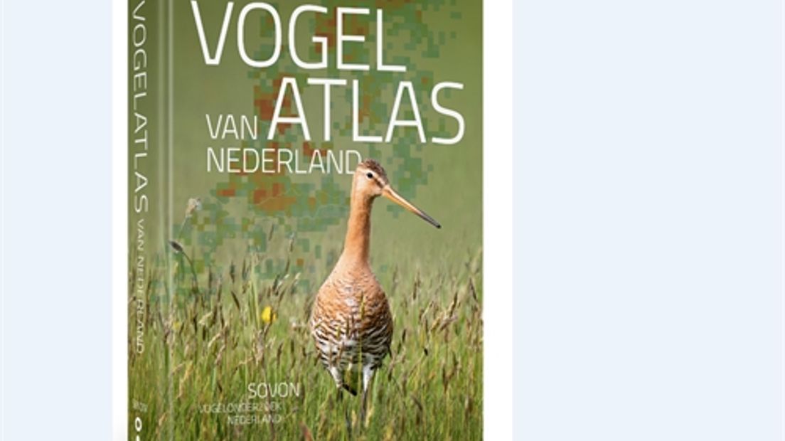 Nederland heeft er in de afgelopen veertig jaar opvallende nieuwe vogels bijgekregen, zoals de zeearend en de kraanvogel. Maar er zijn ook soorten voorgoed verdwenen. Voorbeelden daarvan zijn de ortolaan, de duinpieper en de klapekster. Dat staat in de nieuwe Vogelatlas van Nederland, die minister Carola Schouten (Natuur) zaterdag in Apeldoorn in ontvangst nam.