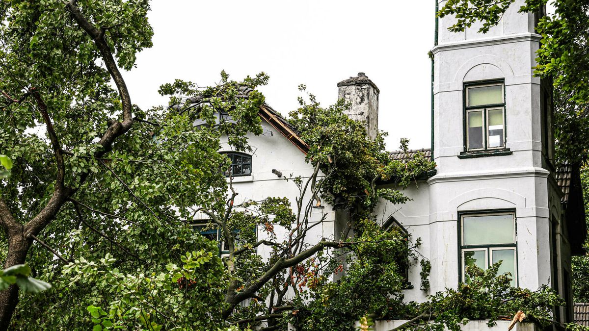 Boom valt op voormalige marechausseekazerne in Klazienaveen
