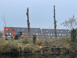 Bomen in Hoogeveen mogelijk makkelijker gekapt bij overlast, ondanks waarschuwing ambtenaren