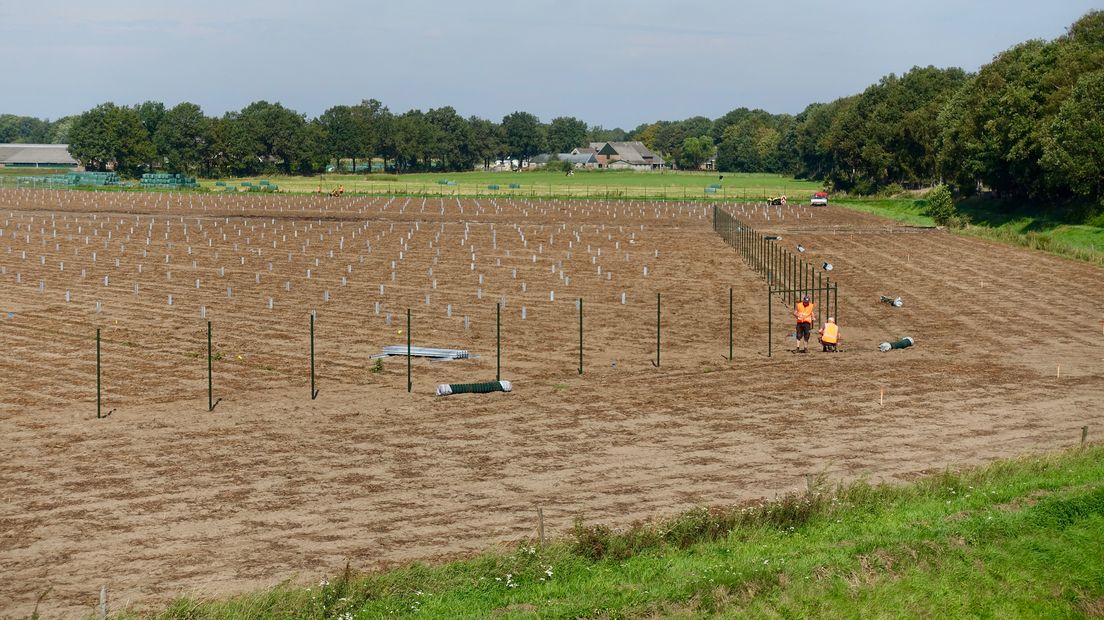 De aanleg van het zonnepark bij Steenwijksmoer.
(Rechten: Solarfields)