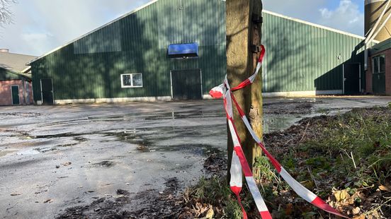 Vervoersverbod in heel Achtkarspelen door vogelgriepuitbraken: "Zeer zorgelijk" Nieuws