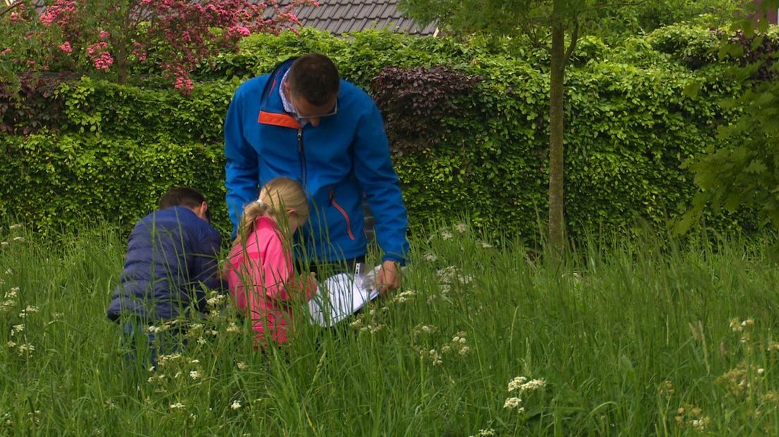 Veel ruimte voor excursies in het lespakket "Het Mysterie van Stadshagen"