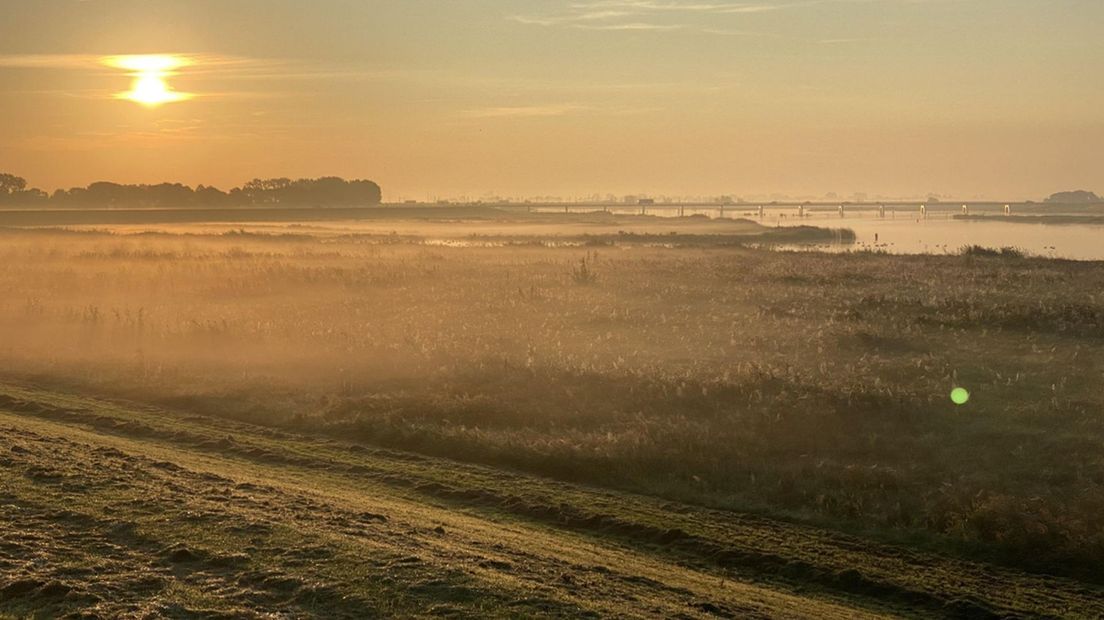 Het gebied Reevedelta