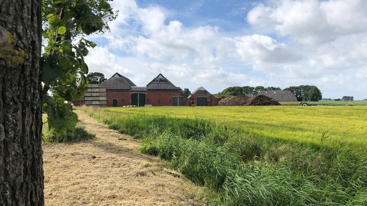 Eemsmond eist milieu-onderzoek voor bouw kippenschuur Roodeschool