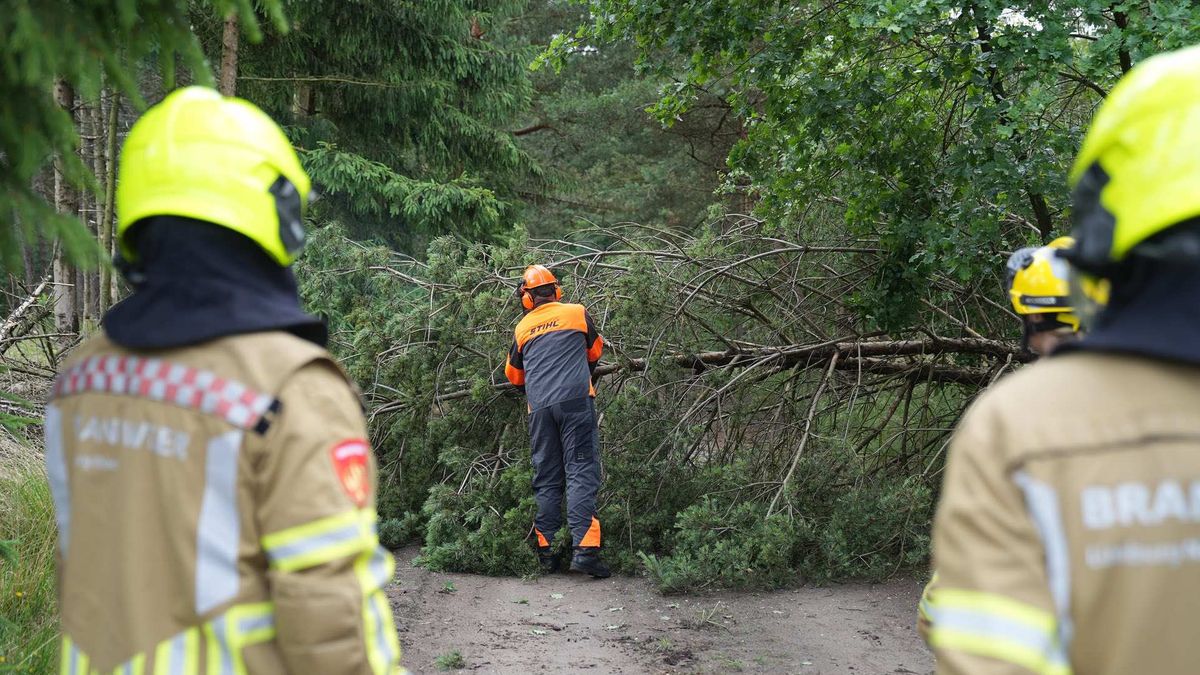 Harde wind: boom blokkeert weg in Weert, snoeiwerk in Baarlo