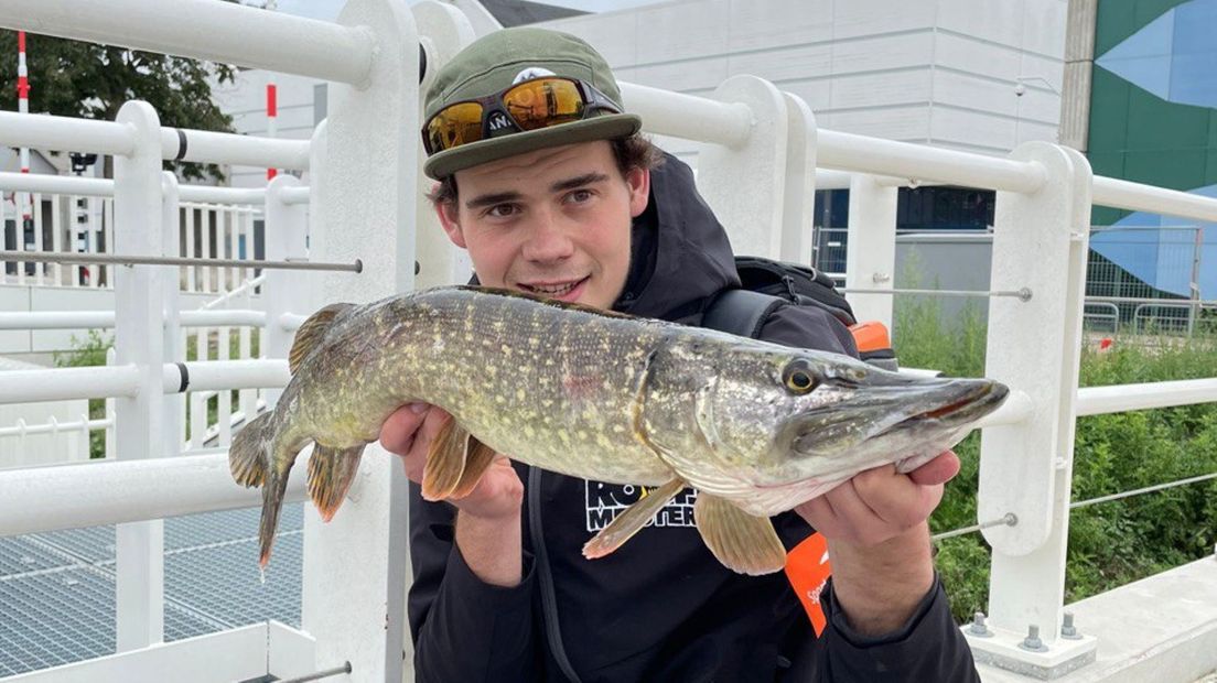 Johannes Elzinga met de snoek van 77 centimeter