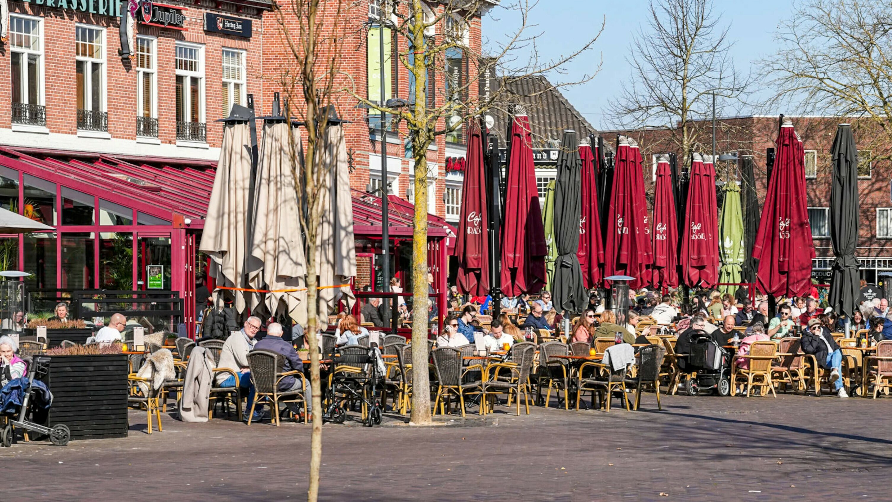 De lente dient zich aan: woensdag volop zon in Drenthe