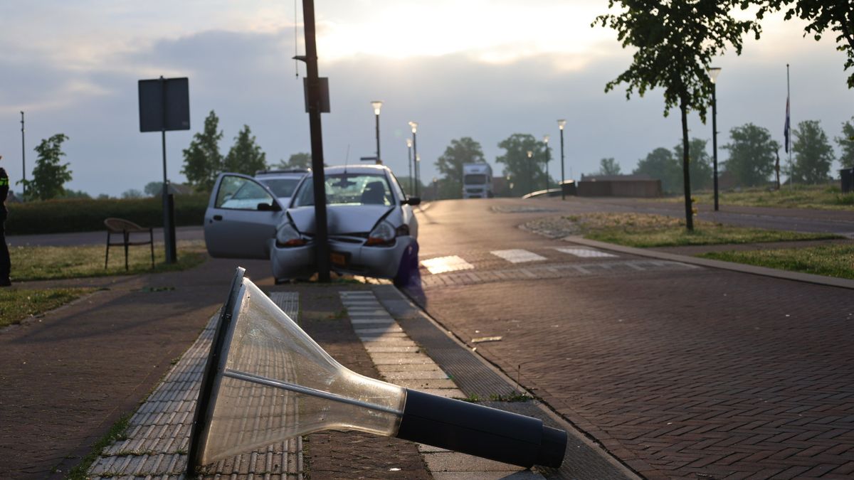 Auto rijdt tegen paal: bestuurster afgeleid door vlieg