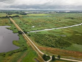 Waterschap Noorderzijlvest kan door met waterbergingsproject De Onlanden