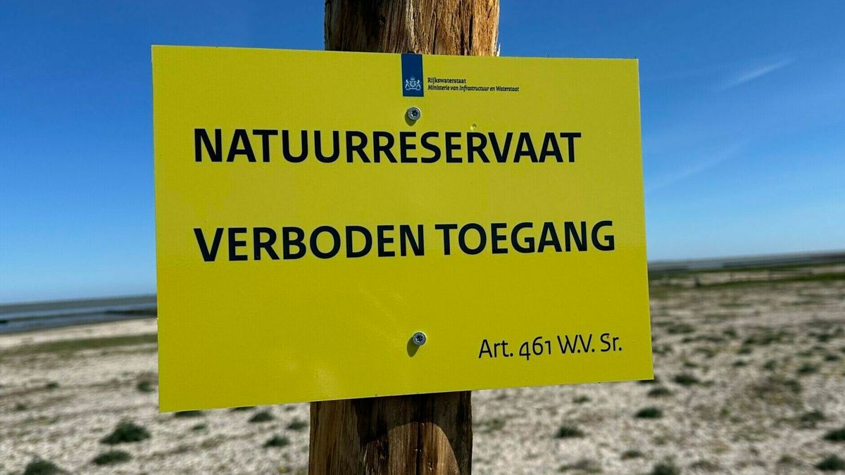 Kwelders bij Wierum en Ternaard zijn weer open