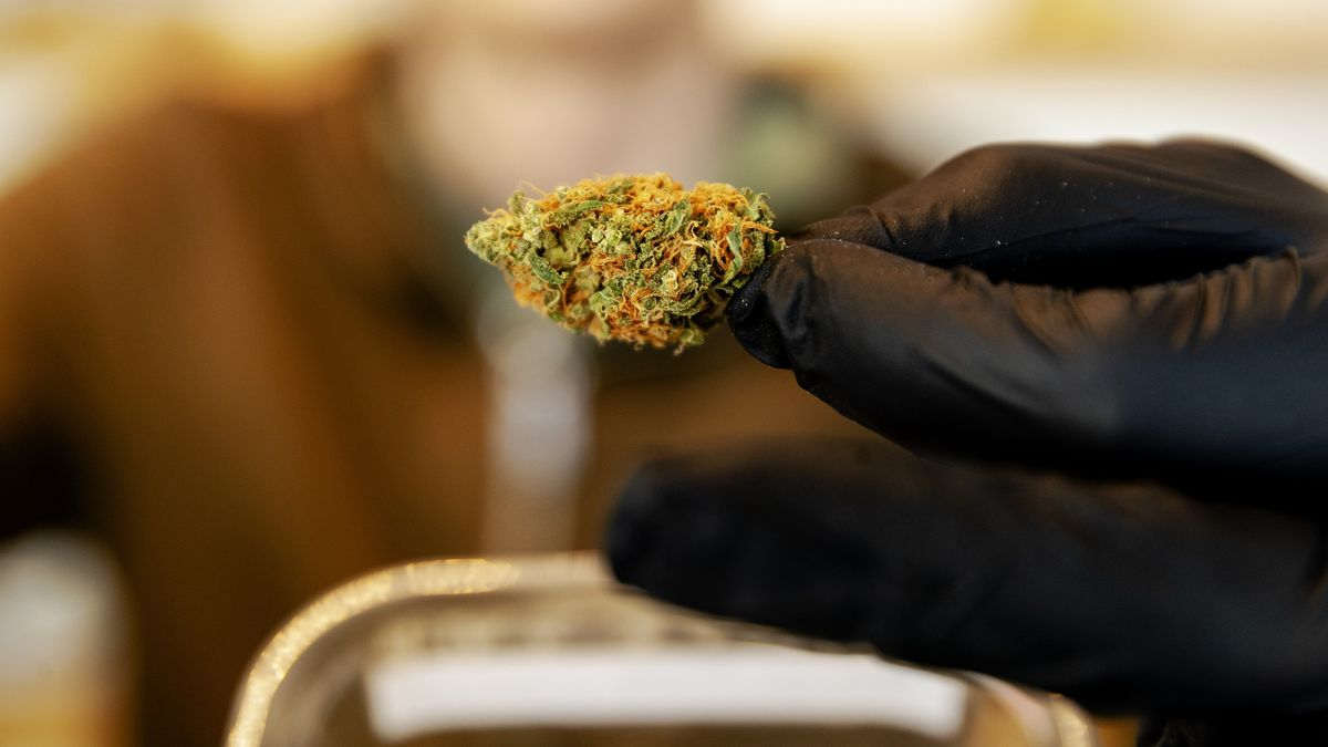 Bedrijfspand moet dicht na vondst grote partij hennep