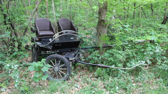 Kat gered uit boom • minderjarig kind aangereden. Kat gered uit boom • minderjarig kind aangereden.