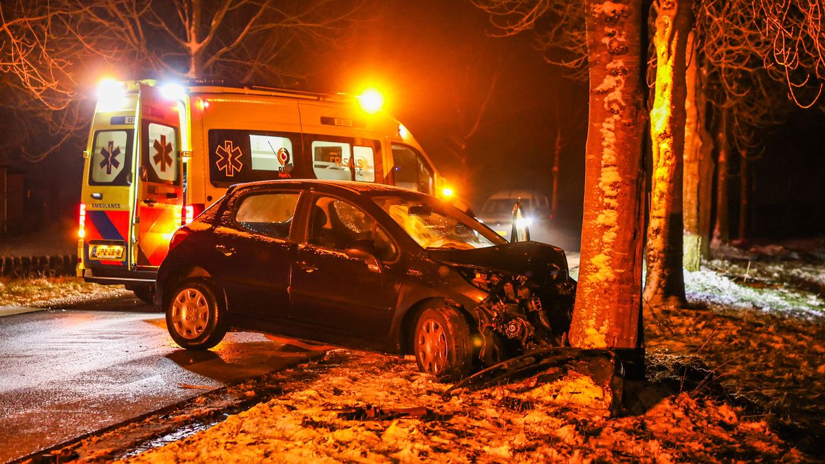Auto botst tegen een boom in Vegelinsoord