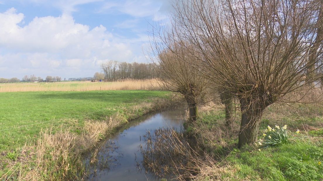 Bouwlocatie bij Hasselt aan de rand van polder Mastenbroek