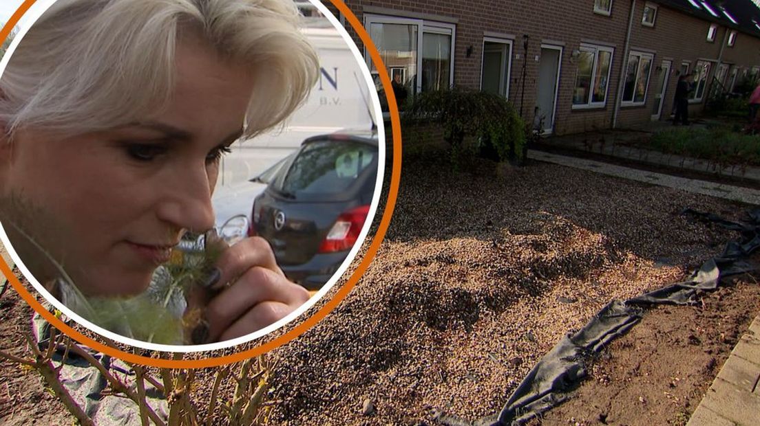 De tuin van Peggy is een 'zee van steen'.