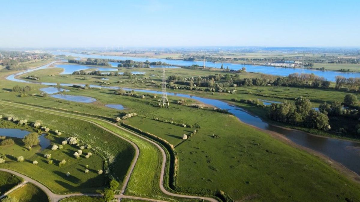 De natuur leeft helemaal op bij de nevengeul van de Waal