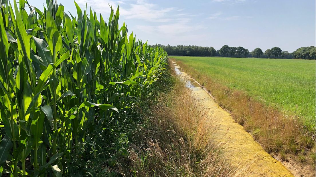 Experimenten tegen droogte hebben goed resultaat