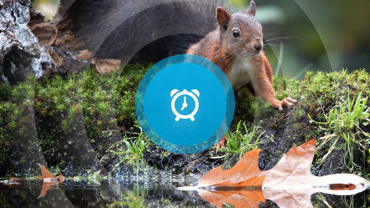 Goedemorgen! Kustmarathontips, start van baggeren Sint Kruiskreek en lancering erfgoedplatform