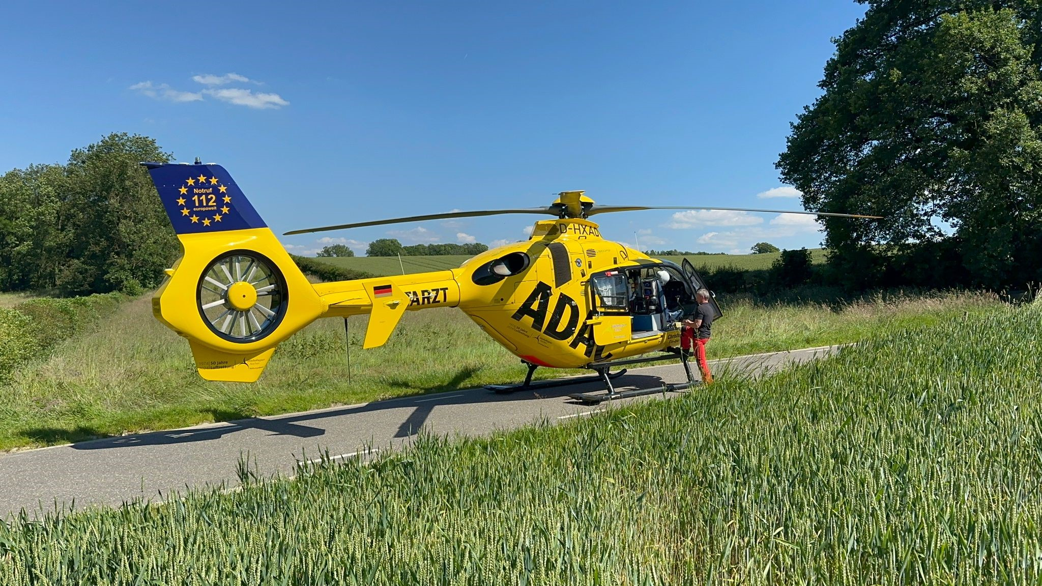 Fietsster (22) Overleden Na Botsing Tegen Boom - L1 Nieuws