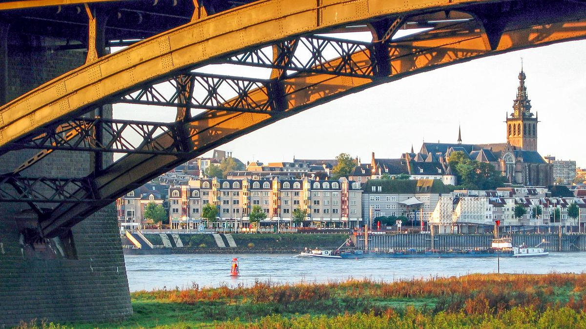 Ze beet op een tak om pijn tijdens verkrachting in 1994 te doorstaan: 'Nachtmerrie van iedere vrouw'