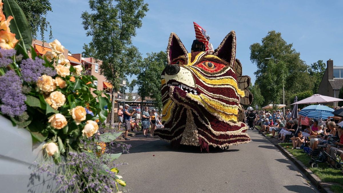Wat is er dit weekend te doen in Drenthe?