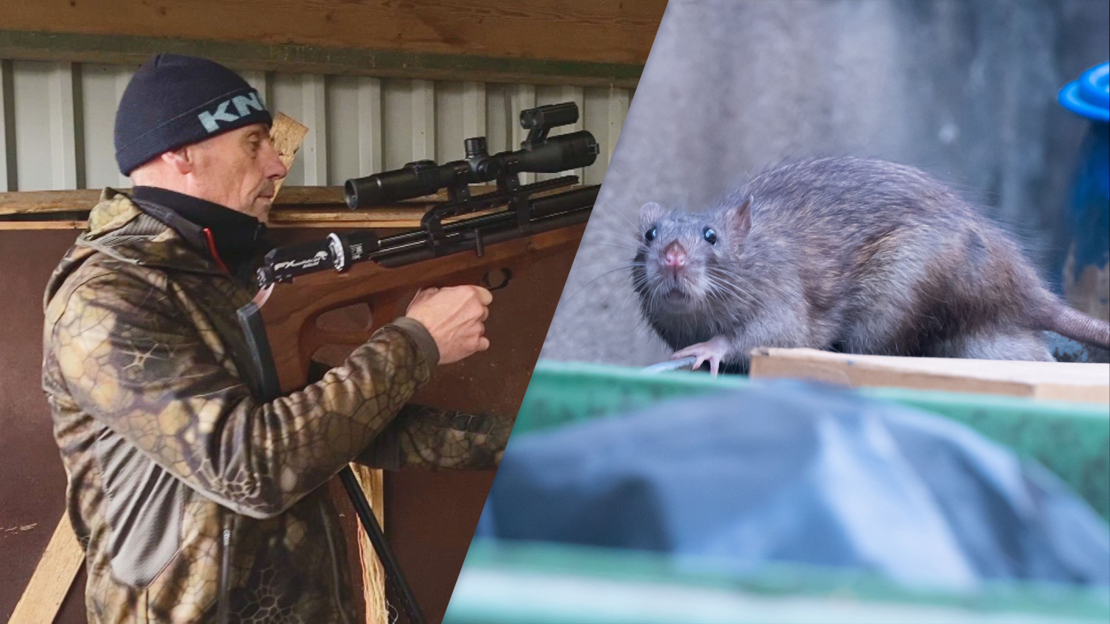 Al mear as 800 rotten deamakke op Skylge, mar it front ferskoot