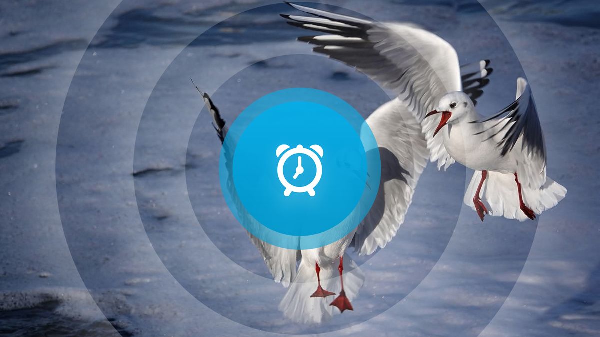 Goedemorgen! Contacta, Babsendag en terugblik op de windhoos