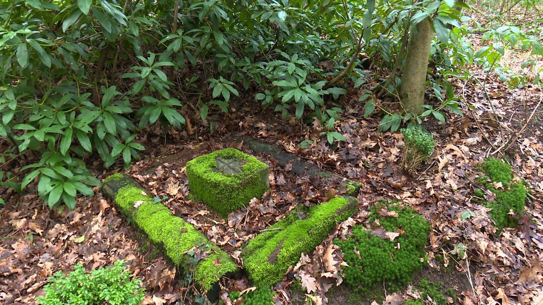 Het klöpkesgraf midden in de bossen