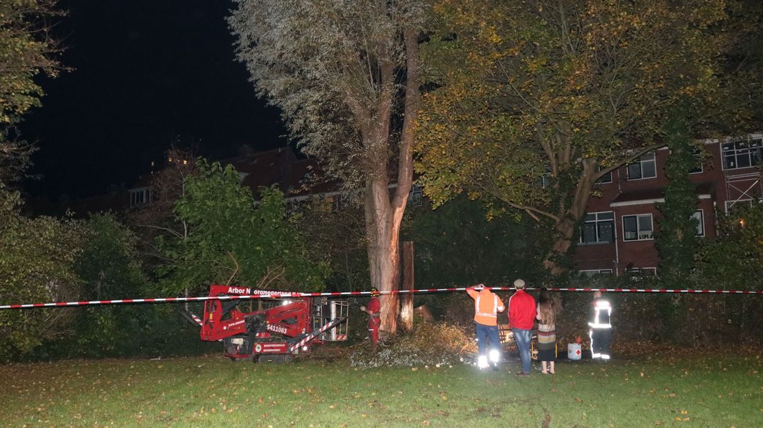 De brandweer neemt de schade aan de boom op