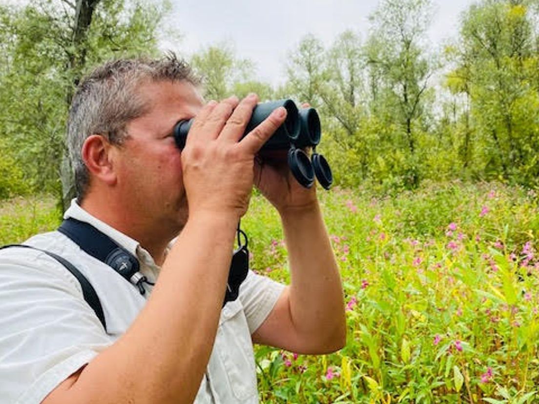 Boswachter Harm speurt naar vertrekkende vogels