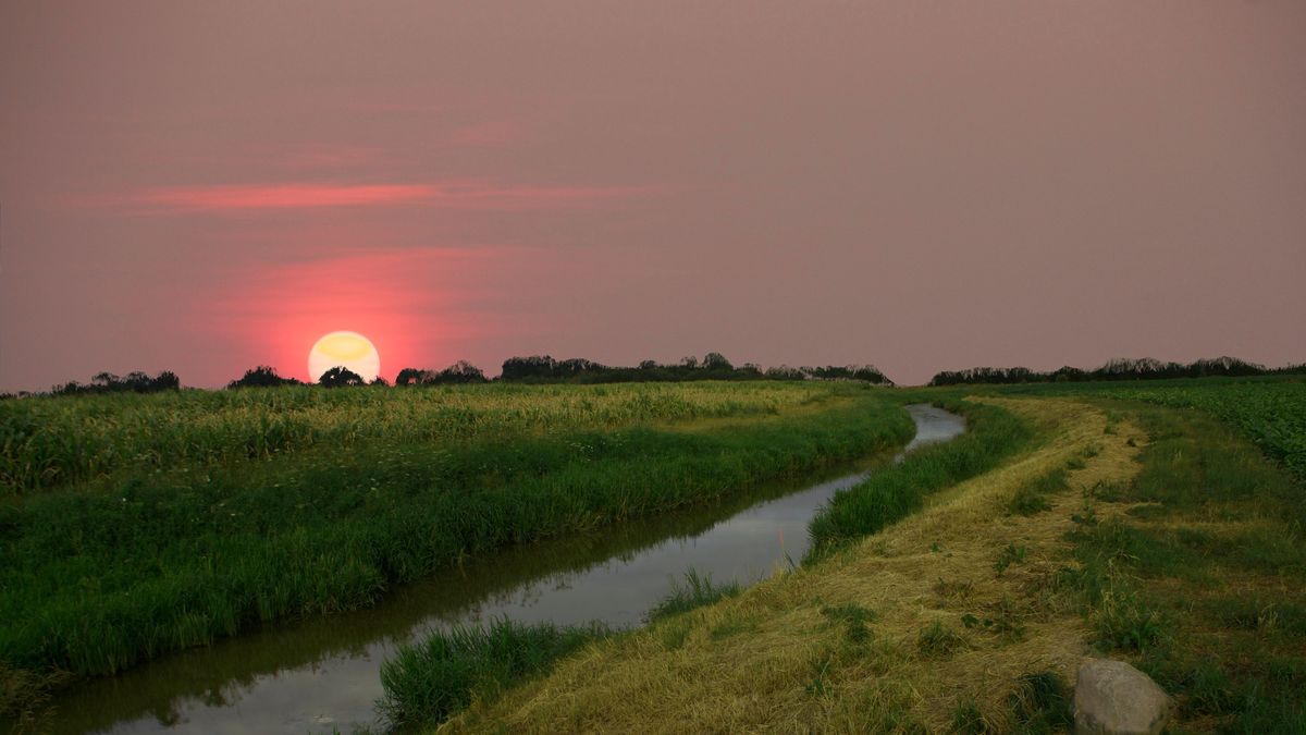 Samen lopen om het dorp: hoe middeleeuwse Drenten grensconflicten oplosten