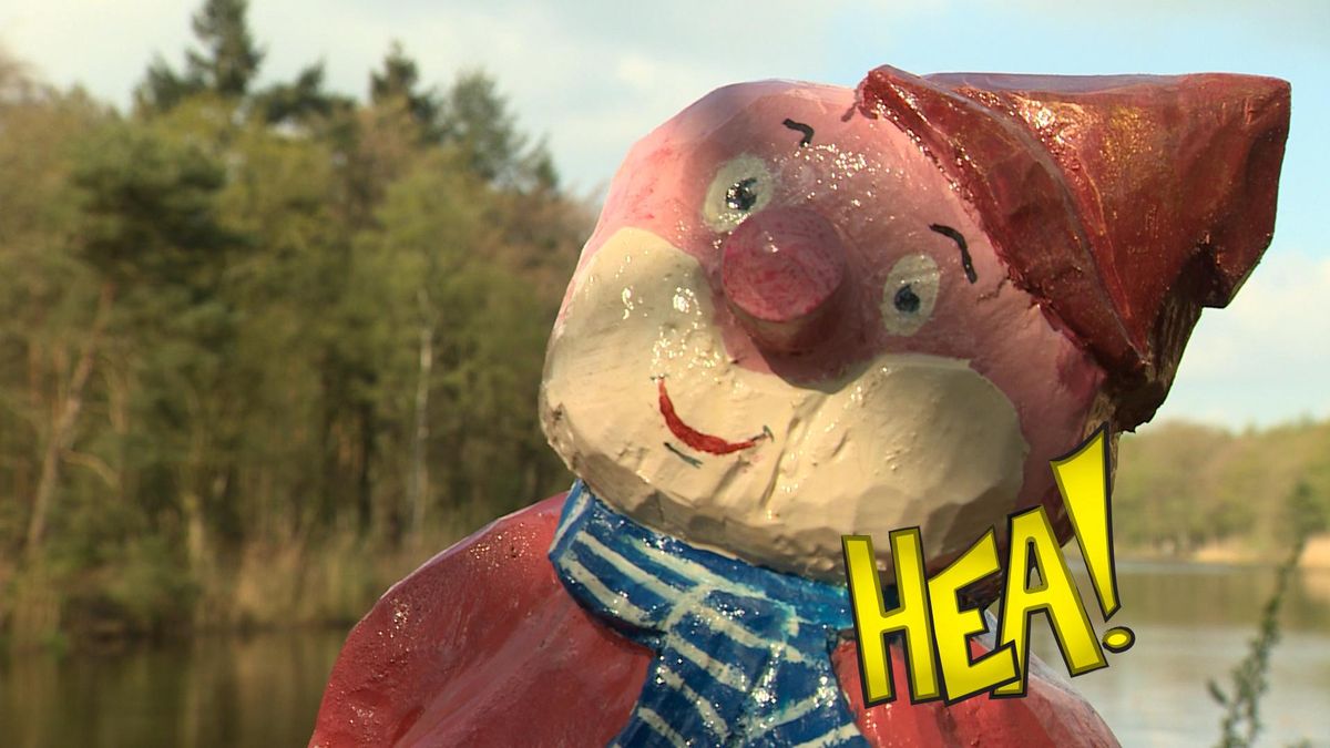 HEA! In het bos bij Sint Nicolaasga zitten kabouters