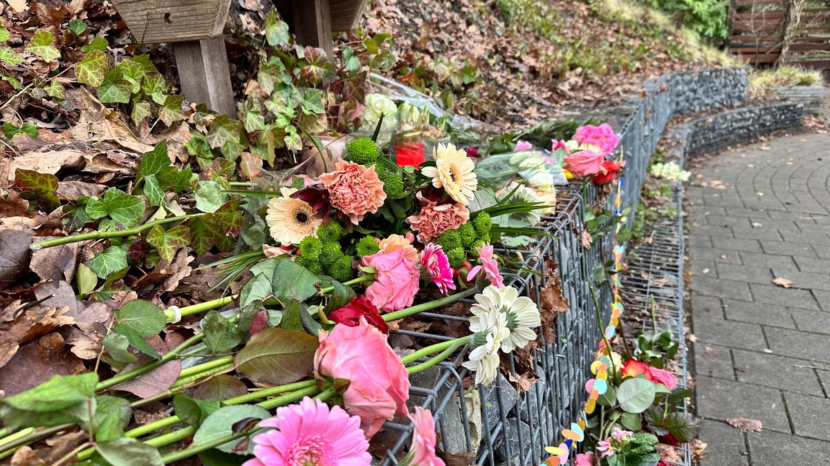 Kliniek Den Dolder zet extra buurtcoaches in na dodelijk steekincident