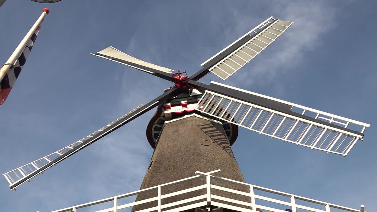 Stichting opgericht om Nijeveen toekomstbestendig te maken