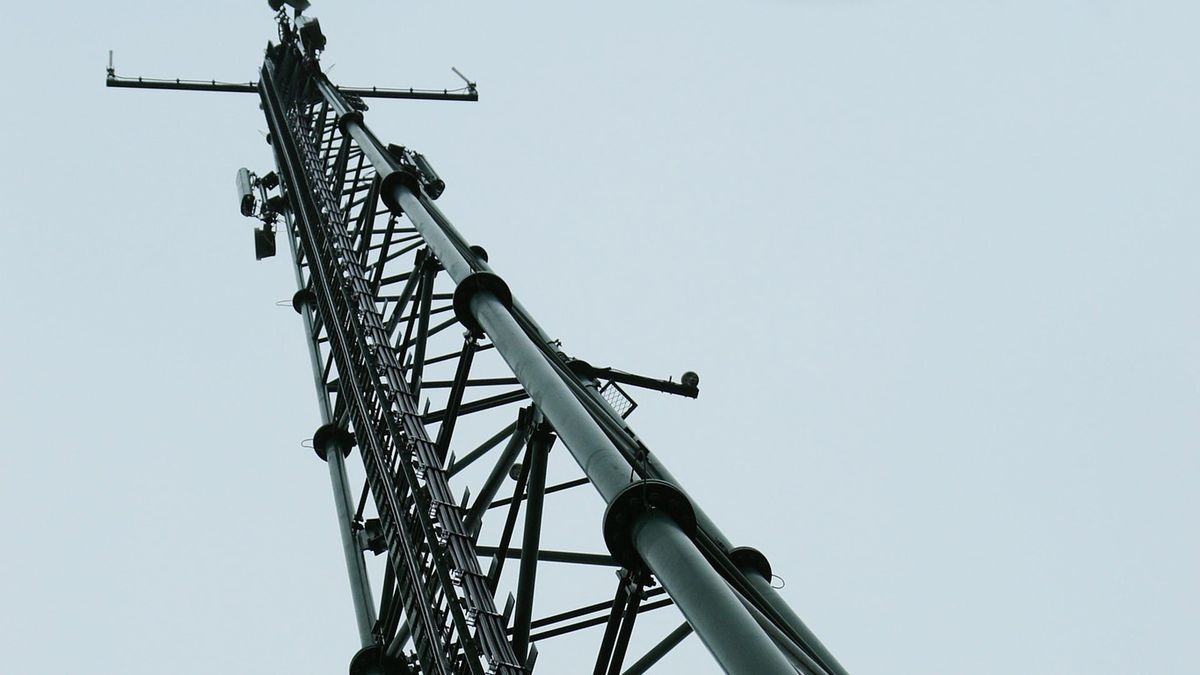 Blijhamster (20) voor de rechter op verdenking van zendpiraterij