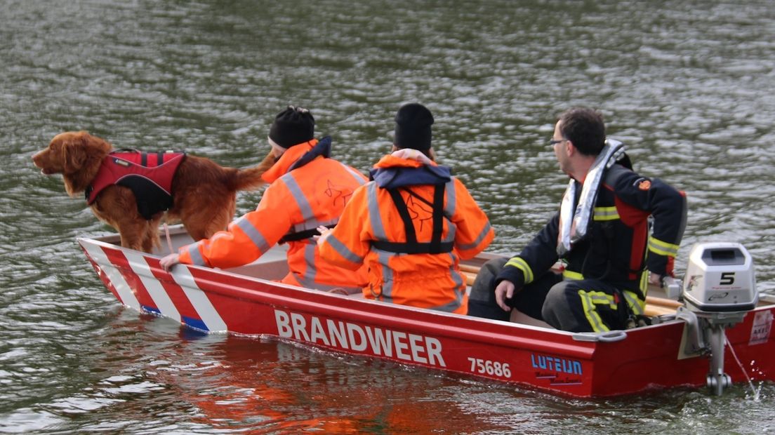 Met speurhonden wordt gezocht