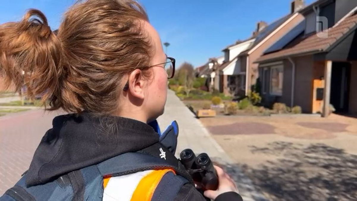 Ecoloog Emma telt vogels om leefgebied Peel en Maas vast te stellen