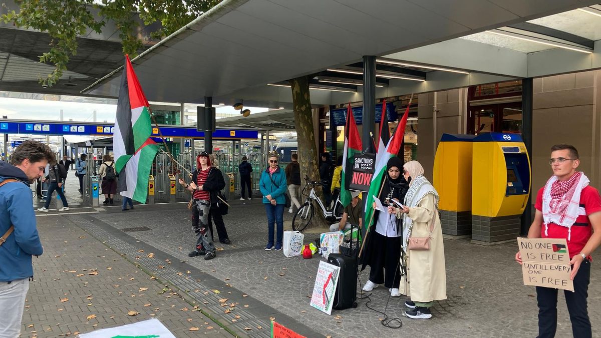 Pro-Palestina demonstranten maken hun punt op gevoelige dag: 'Goed recht'
