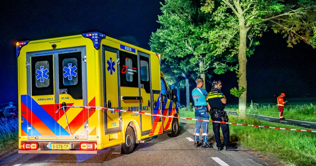 Twee mannen uit Groningen omgekomen bij ongeval op N983