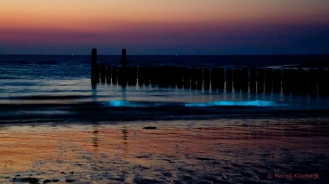 Zee licht nu al elf dagen op aan Walcherse stranden