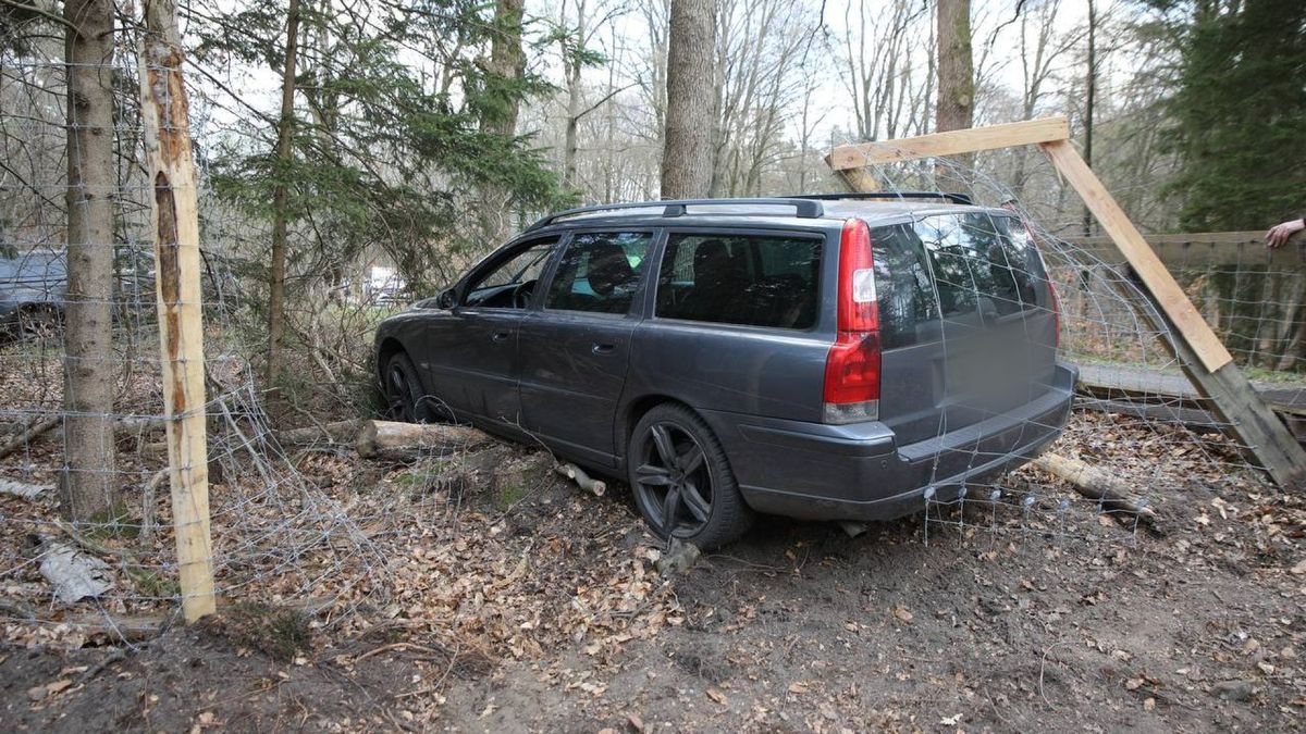 Bestuurder gewond na ongeval op bosweg