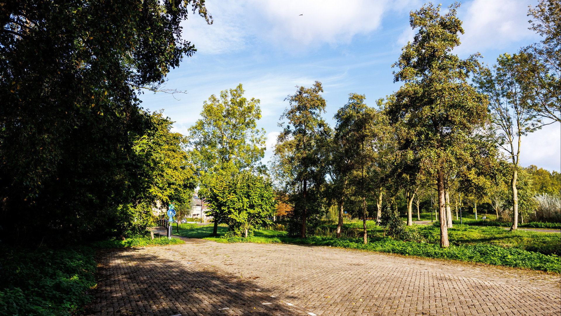 Home