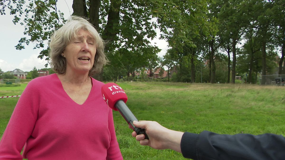 Vandaag tóch geen bomen gekapt voor supermarkt Ter Borch