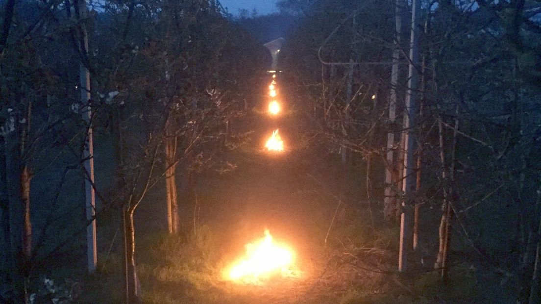 Fruitteler in Haamstede stookt vuurtjes in de boomgaard om bloesems te beschermen tegen nachtvorst
