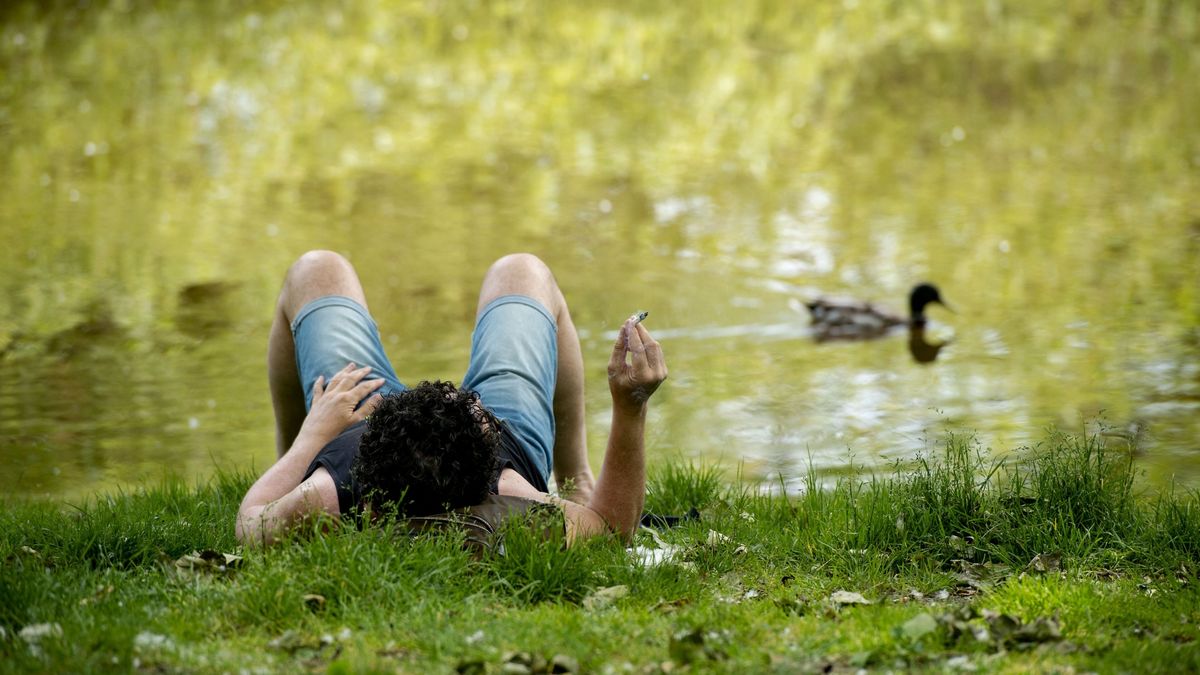 Utrechtse partijen vragen rookverbod in stadspark