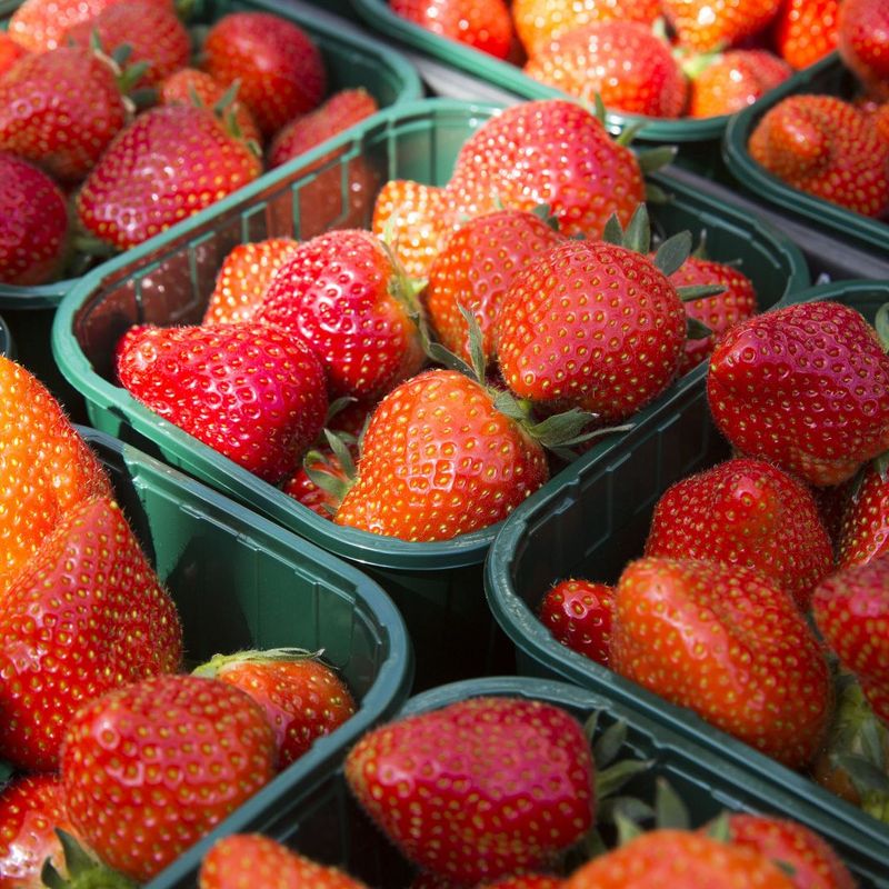 Aardbeien wassen en in de koelkast bewaren? Vanaf nu weet je hoe het (niet) moet Omroep West