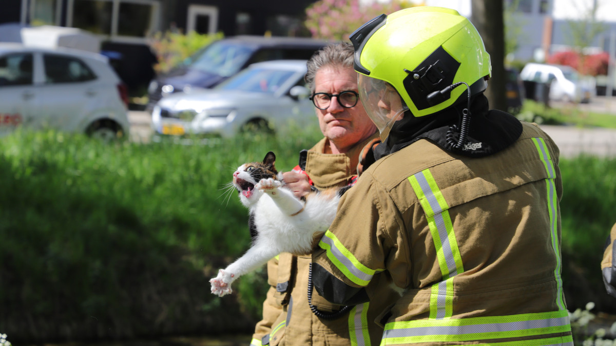 De kat moest tot twee keer toe worden bevrijd.