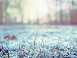 Code geel: KNMI waarschuwt voor gladheid door sneeuw